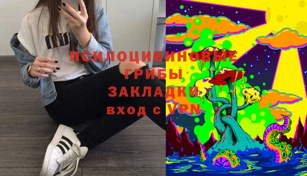 PSILOCYBIN Нея