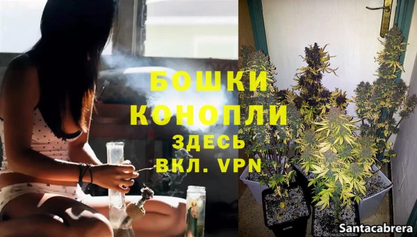 PSILOCYBIN Нея