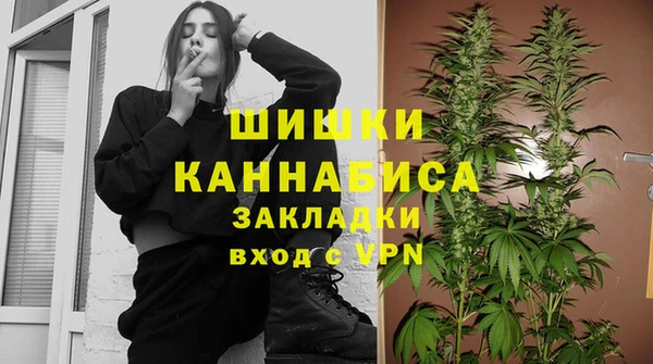 PSILOCYBIN Нея