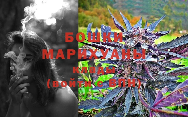 PSILOCYBIN Нея
