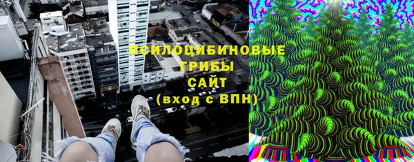 PSILOCYBIN Нея