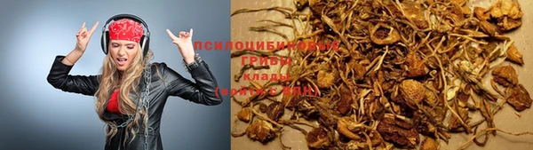 PSILOCYBIN Нея
