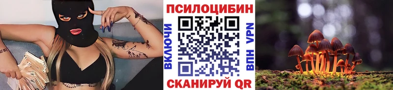 даркнет сайт  мега зеркало  Галлюциногенные грибы Cubensis  Сызрань 